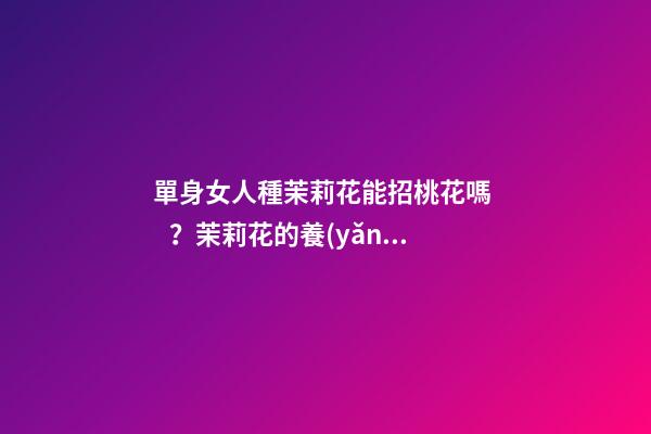 單身女人種茉莉花能招桃花嗎？茉莉花的養(yǎng)殖方法（怎樣種植茉莉花才多花）